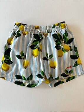 AMS Amsterdam Men’s Swim Trunks Blue White Stripes Tropical Fruit Size Medium